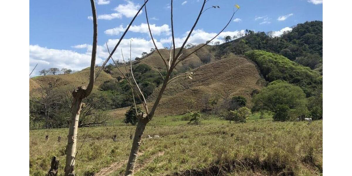 Grundstück in Costa Rica in einer der blauen Zonen der Erde - Grundstück Stuttgart | Angebot:6359433