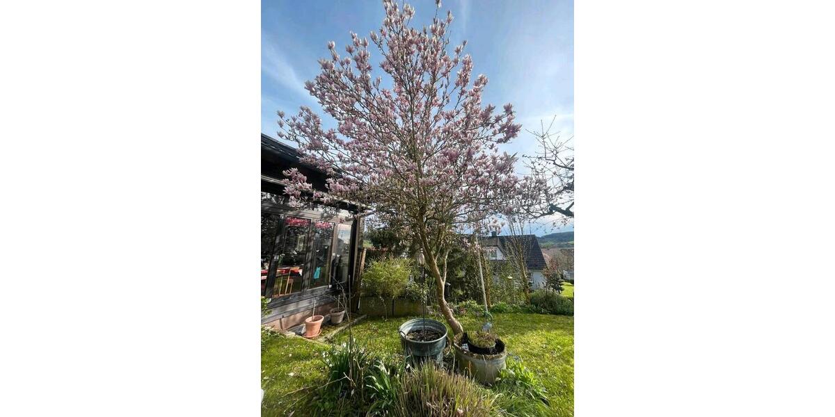 Etagenwohnung Althengstett - 7 Zimmer, 200 m&sup2;, 1.750&euro; | Angebot:25965657