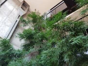 Etagenwohnung Bisingen Gemarkung Bisingen - 2 Zimmer, 91 m&sup2;, 389.000&euro; | Angebot:25748449