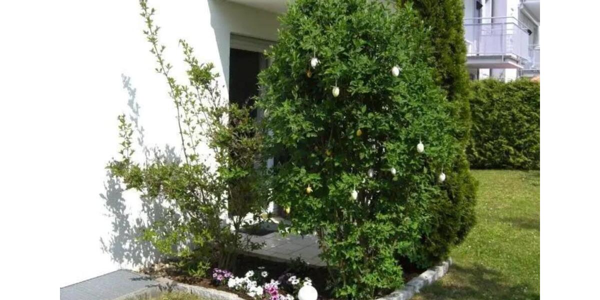 Terrassenwohnung Grafenau - 3 Zimmer, 85 m&sup2;, 1.220&euro; | Angebot:25654069