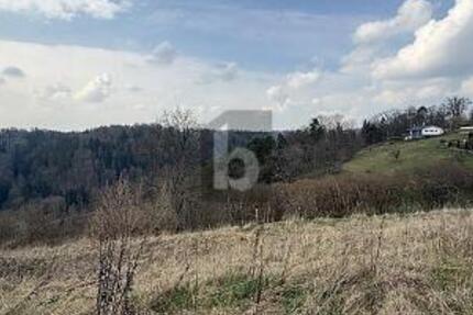 TRAUMHAFTE AUSSICHT MIT VIELEN MÖGLICHKEITEN - Grundstück Wildberg | Angebot:26952048