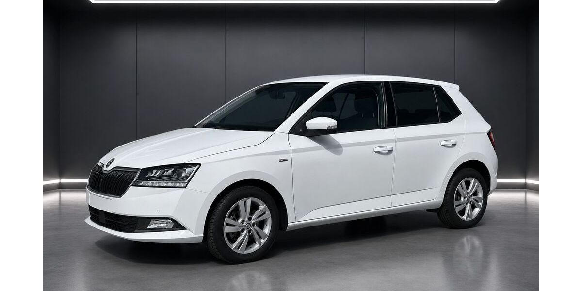 Skoda Fabia 94.000 km 11.999 &euro; Jettingen 71131