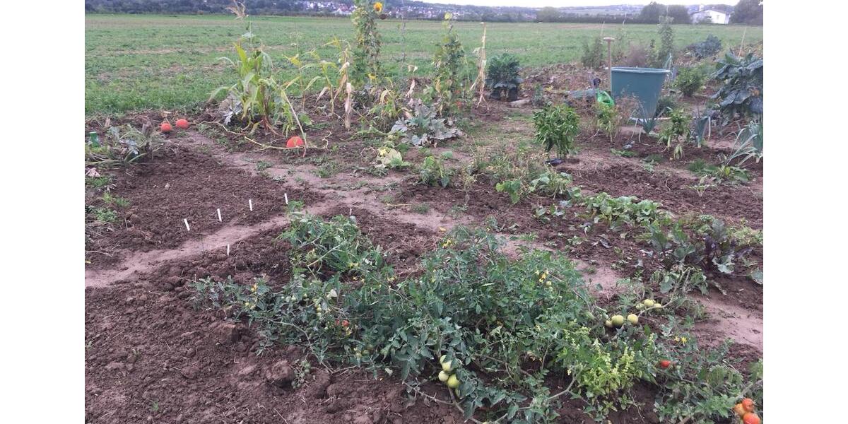 Grundstück Neuhausen auf den Fildern - 80&euro; | Angebot:10225183