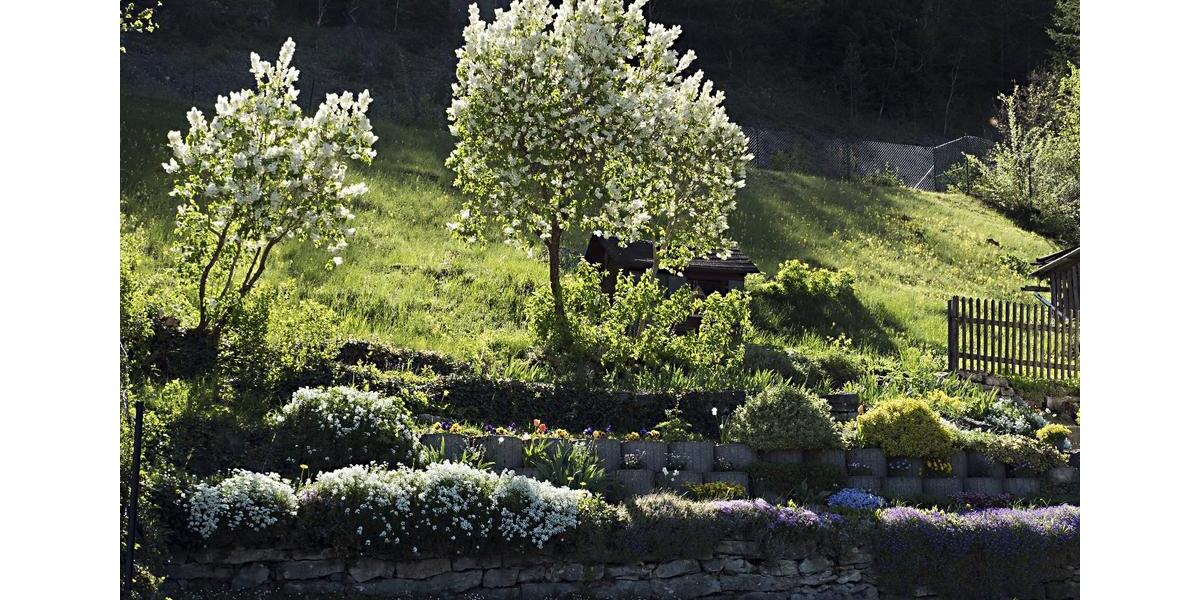 Einfamilienhaus Nagold - 2 Zimmer, 99 m&sup2;, 348.000&euro; | Angebot:25858427