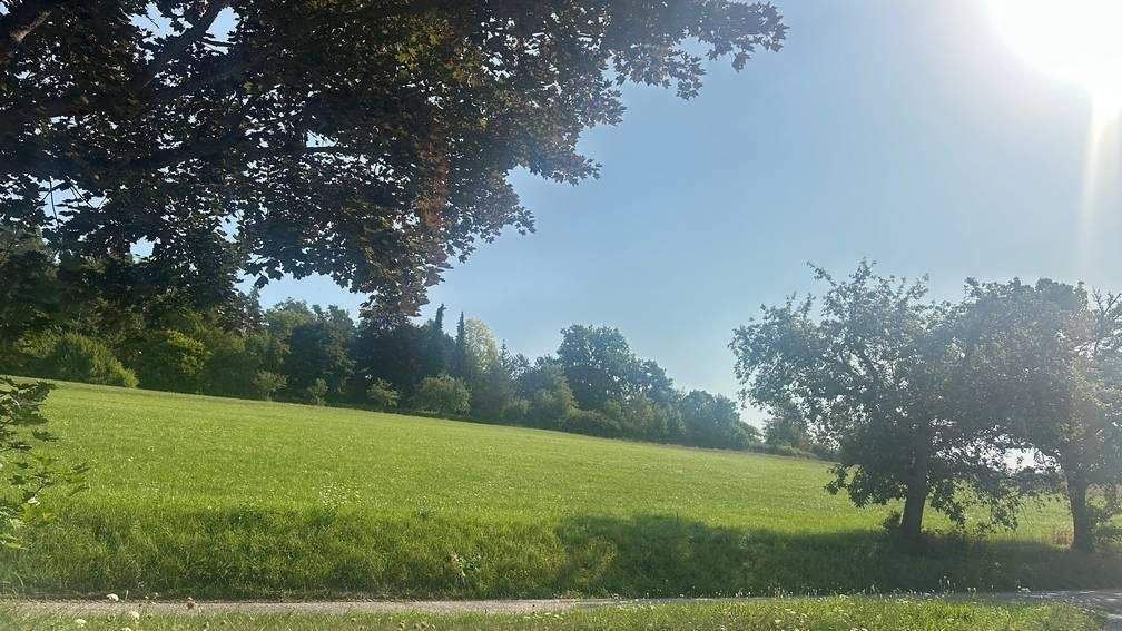 Mehrfamilienhaus, Wohnhaus Ostelsheim - 9 Zimmer, 210 m&sup2;, 649.000&euro; | Angebot:25737007