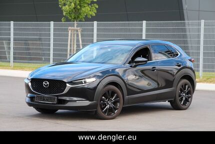 Mazda CX-30 13.833 km 24.590 &euro; Jettingen 71131