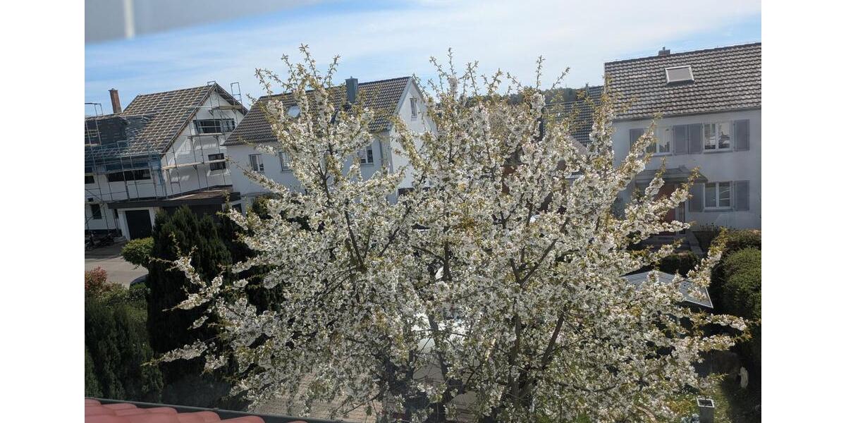 Doppelhaushälfte Schönaich - 6.5 Zimmer, 142 m&sup2;, 619.000&euro; | Angebot:24835299