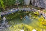 Einfamilienhaus KfW40Plus-direkt am Bach, Natur pur - Einfamilienhaus Ofterdingen | Angebot:27517334