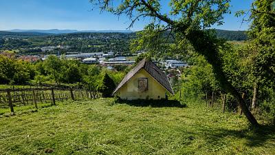 BLICK ÜBER TÜBINGEN - Grundstück Tübingen Schönblick / Winkelwiese | Angebot:26991083