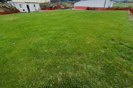 Gewerbeobjekt Nagold - 1.200&euro; | Angebot:20500170