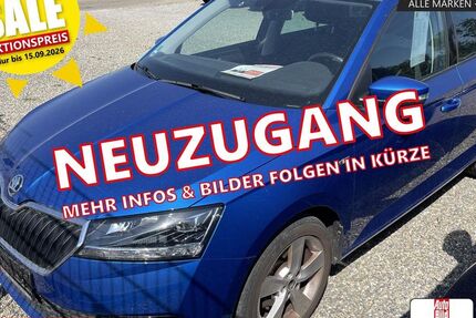 Skoda Fabia 62.626 km 12.970 &euro; Horb a/N 72160