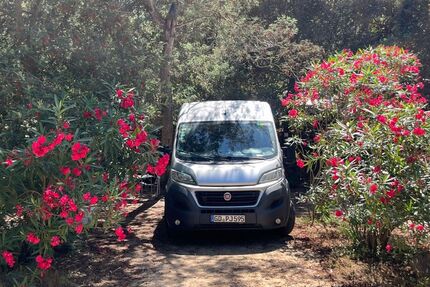 Fiat Ducato 142.000 km 14.300 &euro; Stuttgart 70567