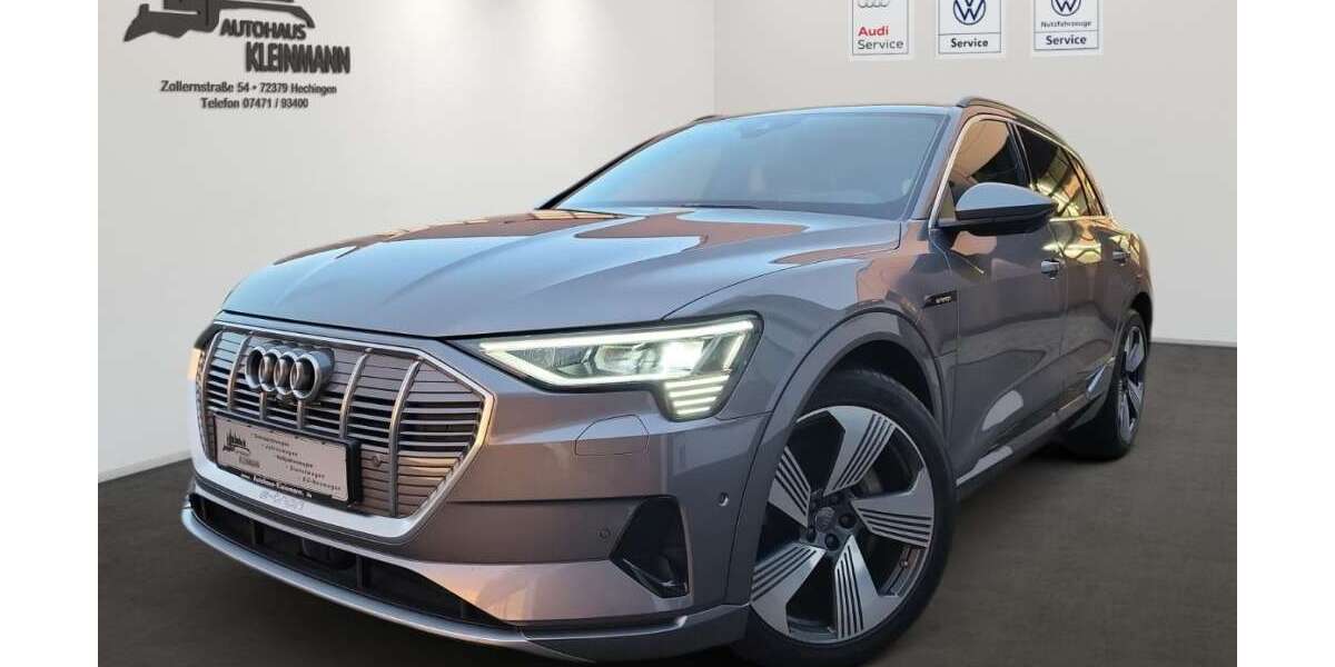 Audi e-tron 124.500 km 29.900 &euro; Hechingen 72379