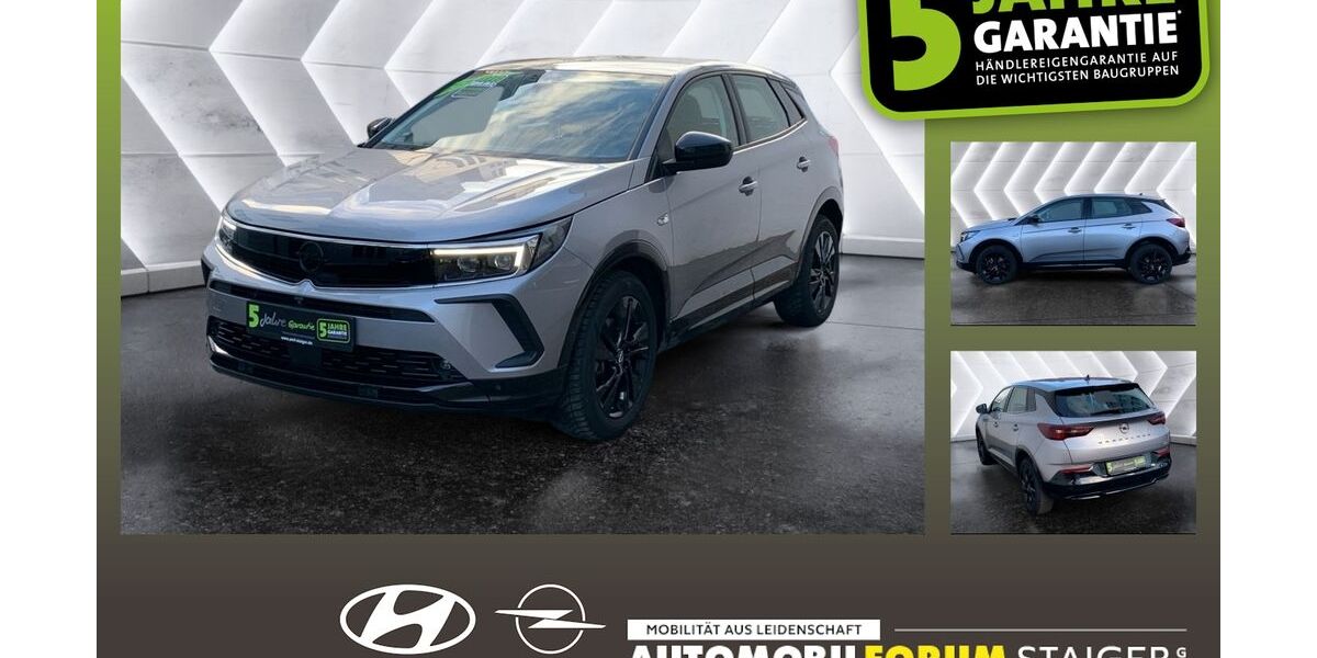 Opel Grandland (X) 20.307 km 25.890 &euro; Pfullingen 72793