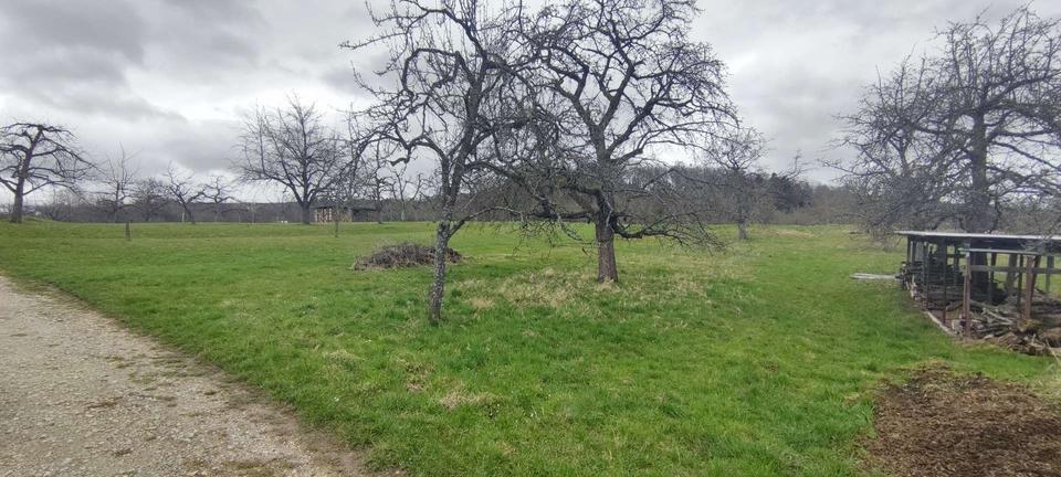 Grundstück Mössingen - 6.999&euro; | Angebot:17678153