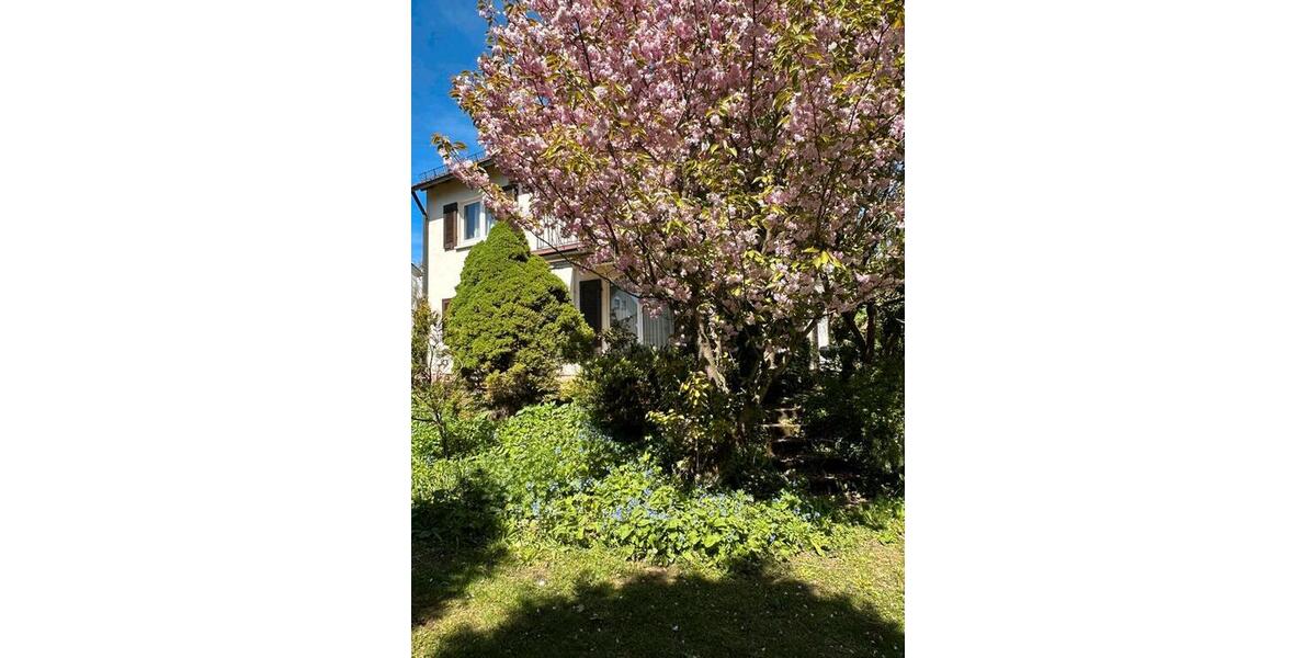Mehrfamilienhaus, Wohnhaus Eningen unter Achalm - 7 Zimmer, 139 m&sup2;, 569.000&euro; | Angebot:27150819