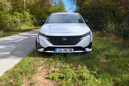 Peugeot 308 38.000 km 19.699 &euro; Nagold 72202