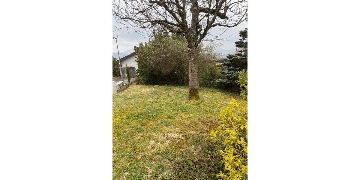 Erdgeschoßwohnung Reutlingen Orschel-Hagen - 1 Zimmer, 50 m&sup2;, 750&euro; | Angebot:25886733