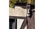 Mehrfamilienhaus, Wohnhaus Stuttgart / Vaihingen Vaihingen - 9 Zimmer, 362 m&sup2;, 490.000&euro; | Angebot:26419022