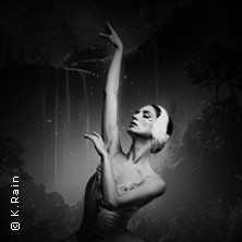 Grand Classic Ballet - Schwanensee - Jenseits der Bühne 12.02.2027 Filderhalle / Kongress-u.KulturCentrum