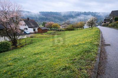 AUSSICHT AUF DIE WEITENBURG - Grundstück Starzach | Angebot:25947794