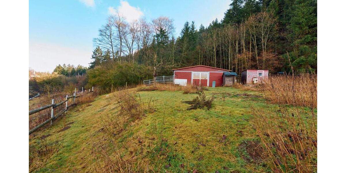 Mehrfamilienhaus, Wohnhaus Horb am Neckar Talheim - 8 Zimmer, 294 m&sup2;, 945.000&euro; | Angebot:25731843