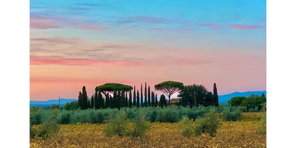 Einfamilienhaus Stuttgart Botnang - 3 Zimmer, 75 m&sup2;, 420.000&euro; | Angebot:18749045