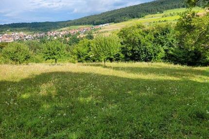 Haus Nagold - 5 Zimmer, 300 m&sup2;, 1.500.000&euro; | Angebot:26484902