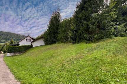 Grundstück Burladingen - 60.000&euro; | Angebot:16469818