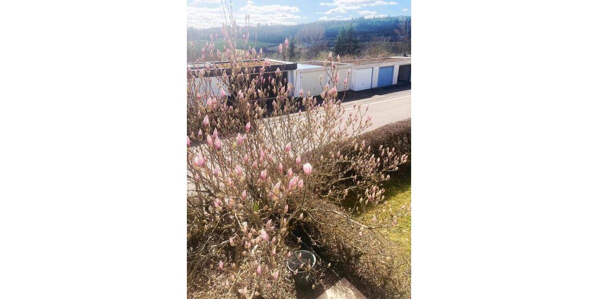 Etagenwohnung Herrenberg - 2.5 Zimmer, 75 m&sup2;, 1.100&euro; | Angebot:25639869