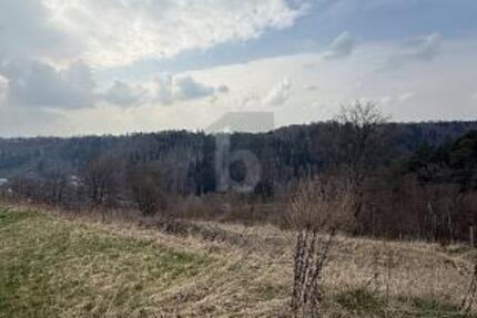 TRAUMGRUNDSTÜCK IM GRÜNEN - Grundstück Wildberg | Angebot:27229319