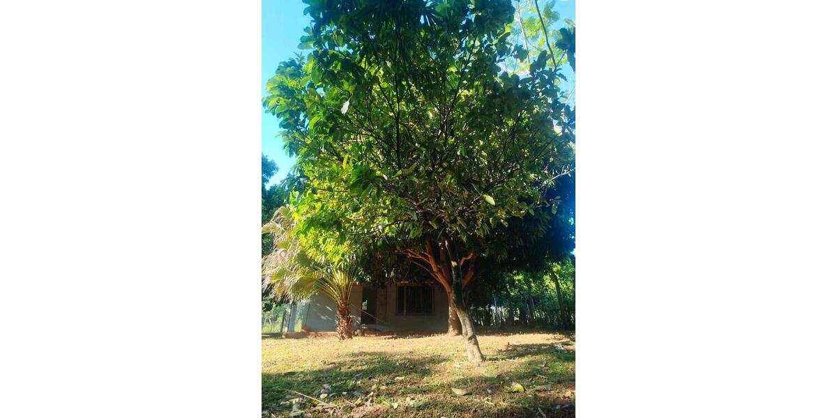 Einfamilienhaus Ammerbuch - 1 Zimmer, 56 m&sup2;, 25.000&euro; | Angebot:25893973