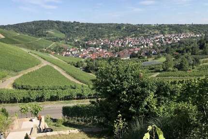 Wohnung Stuttgart Luginsland - 4 Zimmer, 128 m&sup2;, 629.900&euro; | Angebot:27200973