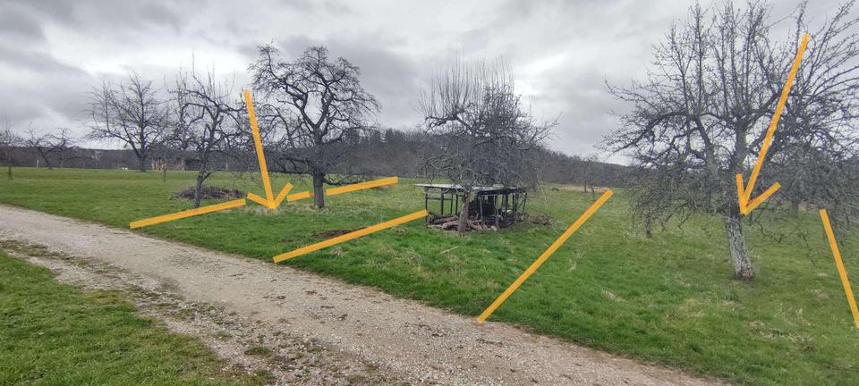 Grundstück Mössingen - 6.999&euro; | Angebot:17678153