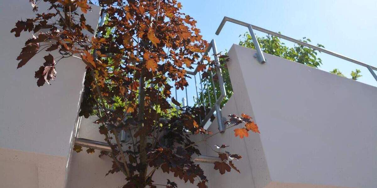 Einfamilienhaus Althengstett - 5 Zimmer, 143 m&sup2;, 762.970&euro; | Angebot:25707847