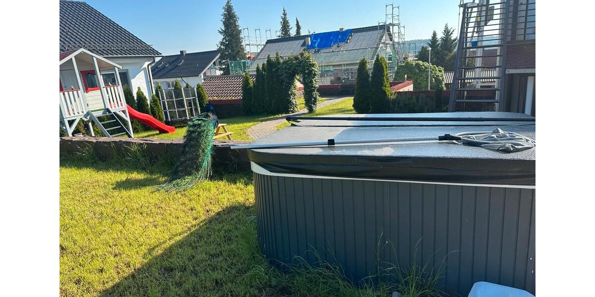 Mehrfamilienhaus, Wohnhaus Magstadt - 6 Zimmer, 387 m&sup2;, 1.349.000&euro; | Angebot:24984052