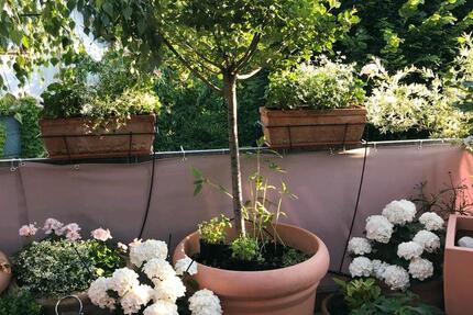 Wohnung Pfullingen - 4 Zimmer, 125 m&sup2;, 490.000&euro; | Angebot:25926329