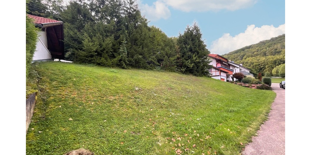 Grundstück Burladingen - 60.000&euro; | Angebot:25746182