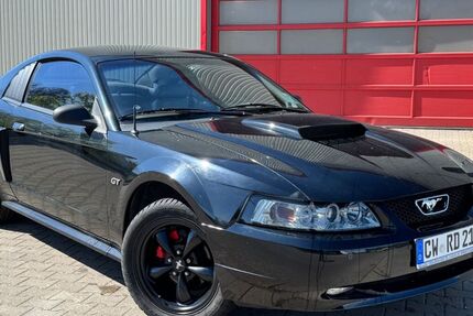 Ford Mustang 120.000 km 8.990 &euro; Althengstett 75382