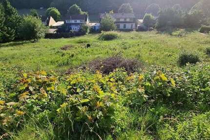 Grundstück Burladingen - 125.000&euro; | Angebot:20164803