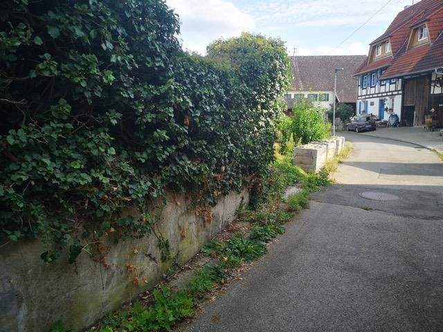 Grundstück Haigerloch Gruol - 55.000&euro; | Angebot:25684894