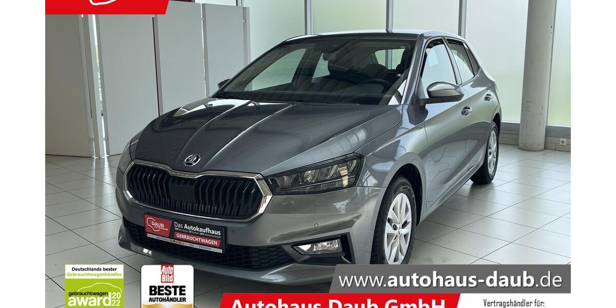 Skoda Fabia 39.433 km 19.690 &euro; Horb a/N 72160