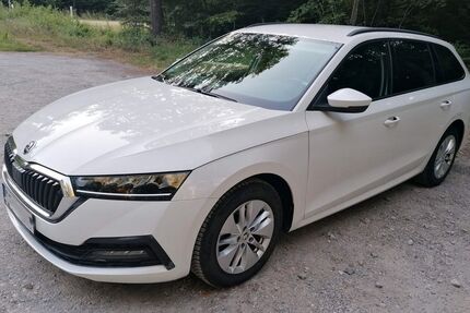 Skoda Octavia 105.800 km 15.200 &euro; Renningen 71272