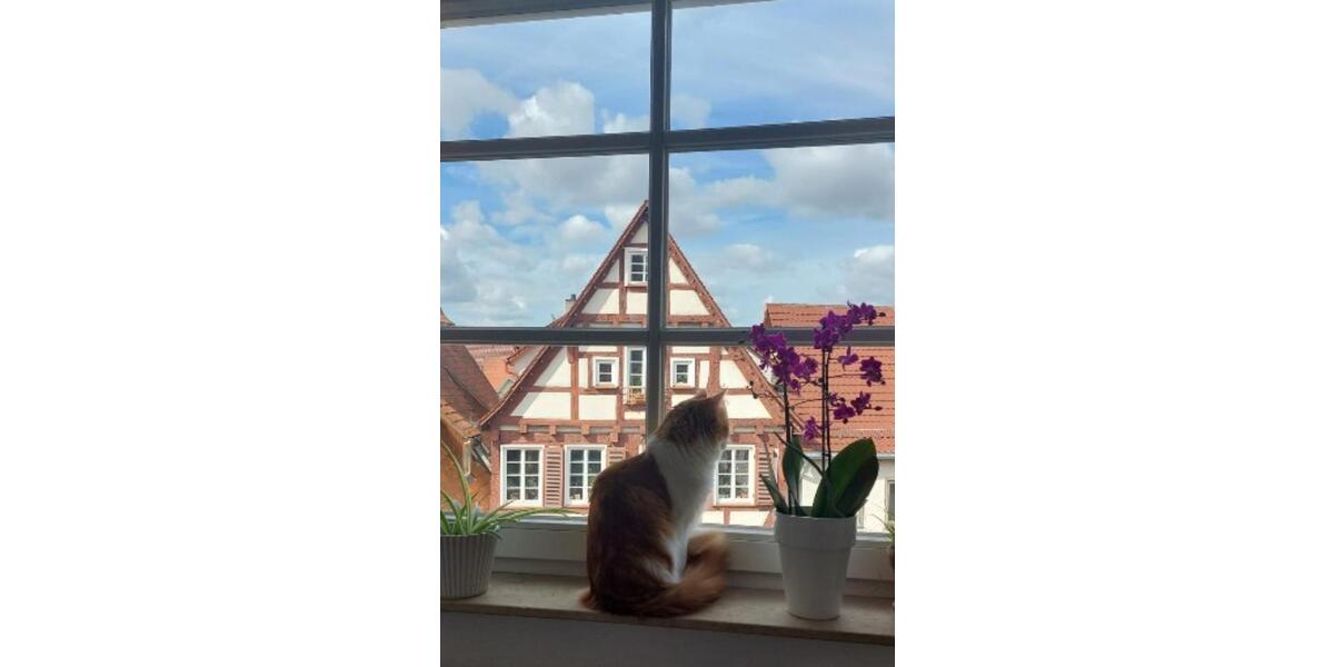 Maisonettenwohnung Rottenburg am Neckar - 2 Zimmer, 75 m&sup2;, 289.000&euro; | Angebot:25415568