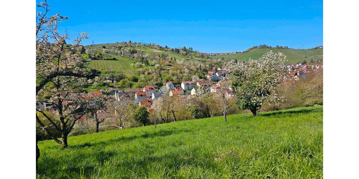 Grundstück Stuttgart Hedelfingen - 24.500&euro; | Angebot:24831456