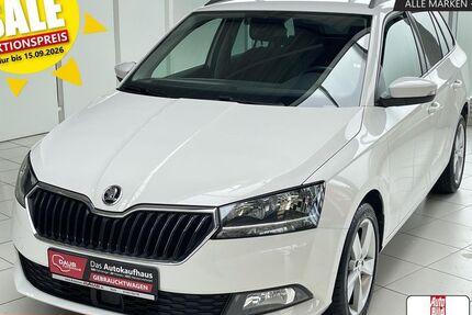Skoda Fabia 71.981 km 13.770 &euro; Horb a/N 72160
