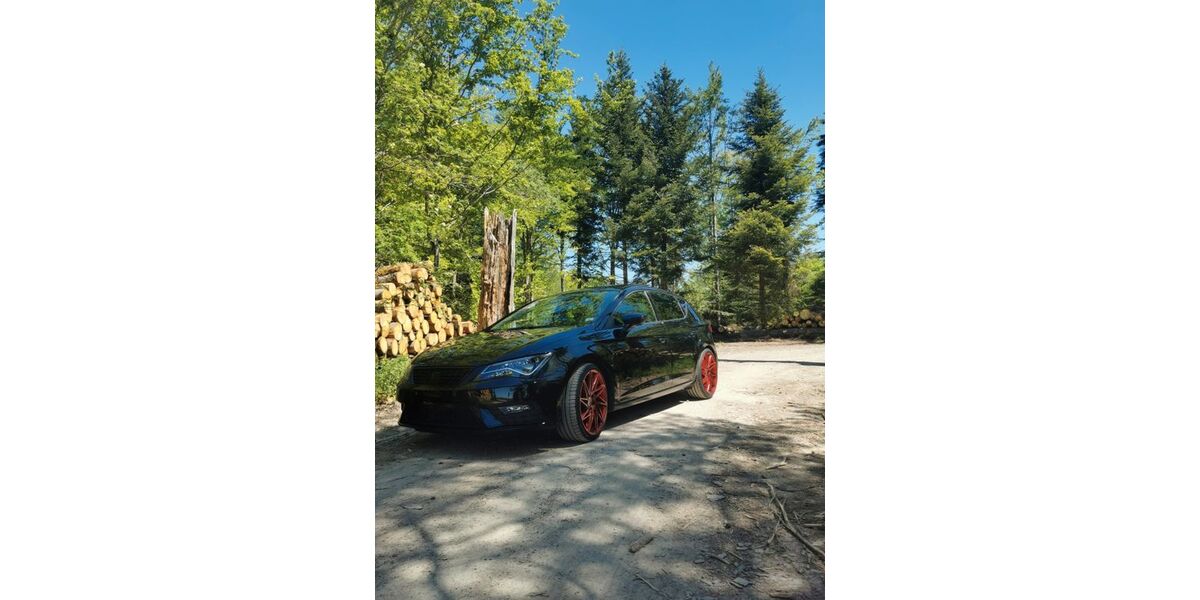 Seat Leon 100.000 km 16.800 &euro; Wildberg 72218