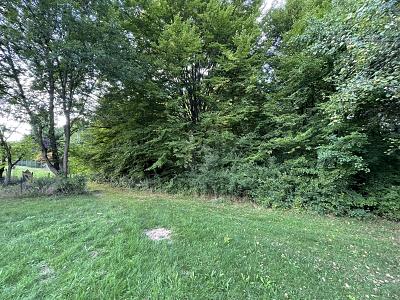 VIELSEITIGES ANWESEN  IDEEN OHNE GRENZEN - Grundstück Steinenbronn | Angebot:26981895
