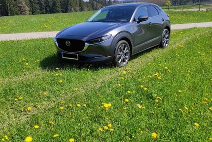 Mazda CX-30 28.500 km 22.999 &euro; Horb a.N. 72160