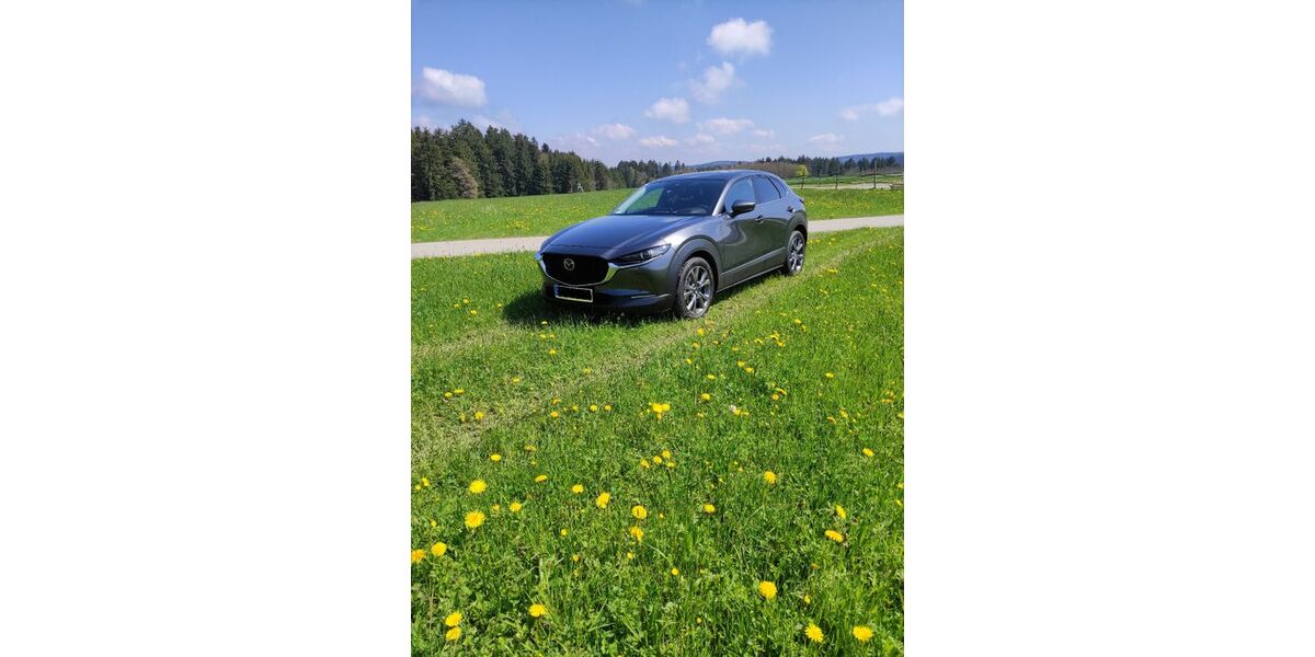 Mazda CX-30 28.500 km 22.999 &euro; Horb a.N. 72160